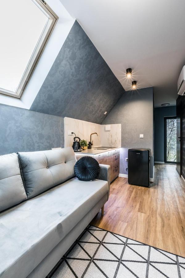 Aparthome Tatra Bialy Dunajec Luaran gambar